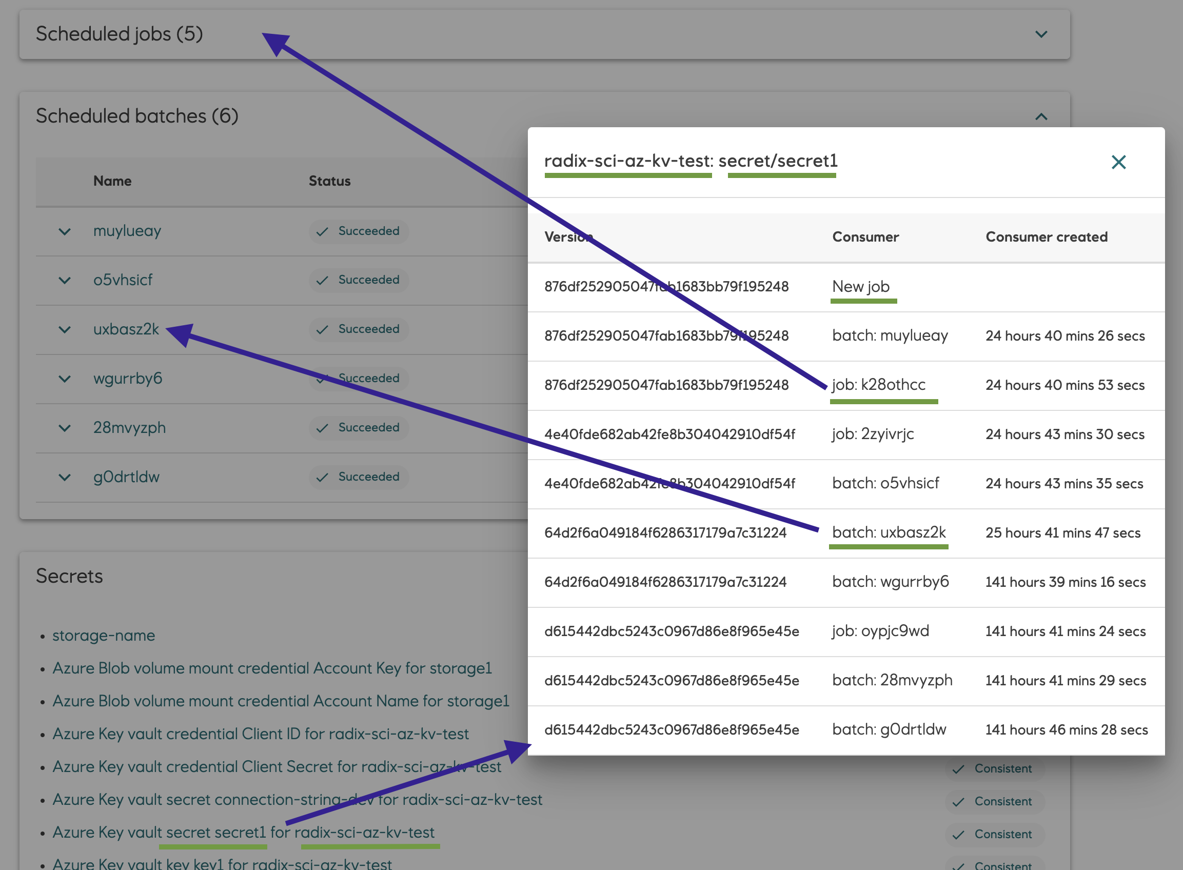 Versions of secrets, used in a job component